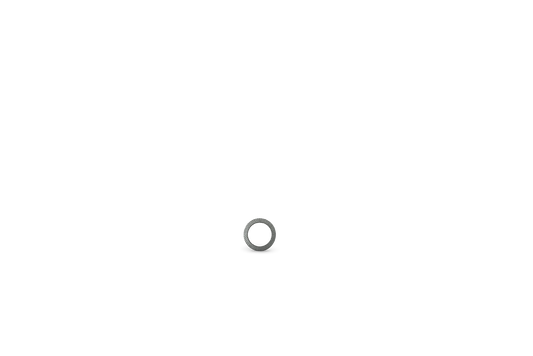 WASHER-M16-SCHNORR